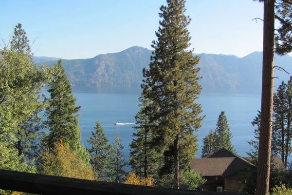 Mountain lake view through pine trees with cabin and boat visible on water