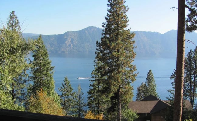 Mountain lake view through pine trees with cabin and boat visible on water